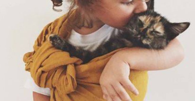 Desparasitação Interna