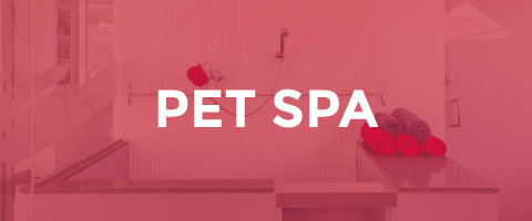 Pet Spa